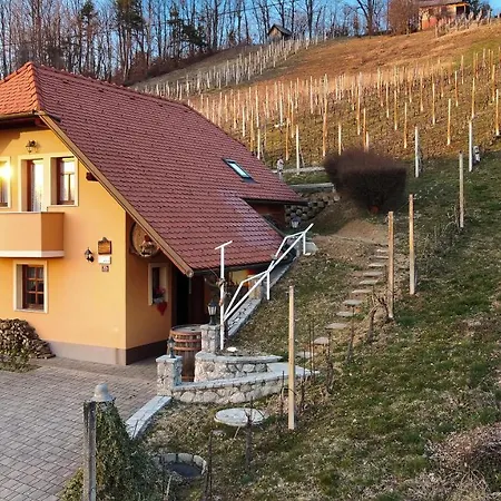 Vineyard Tramte * Škocjan