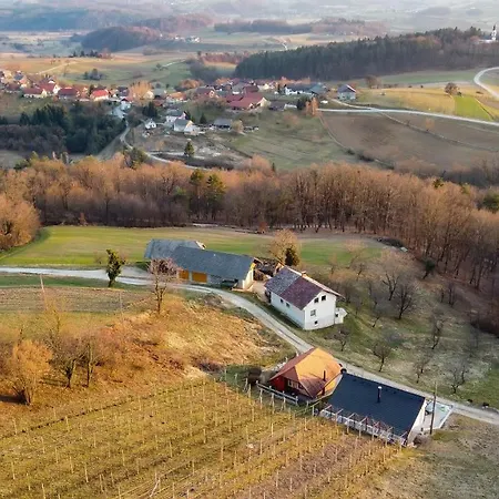 Vakantiehuis Vineyard Tramte