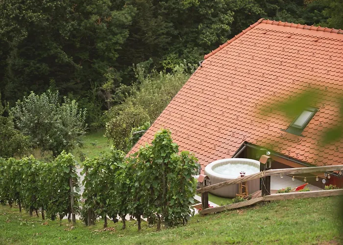 Casa de Férias Vineyard Tramte